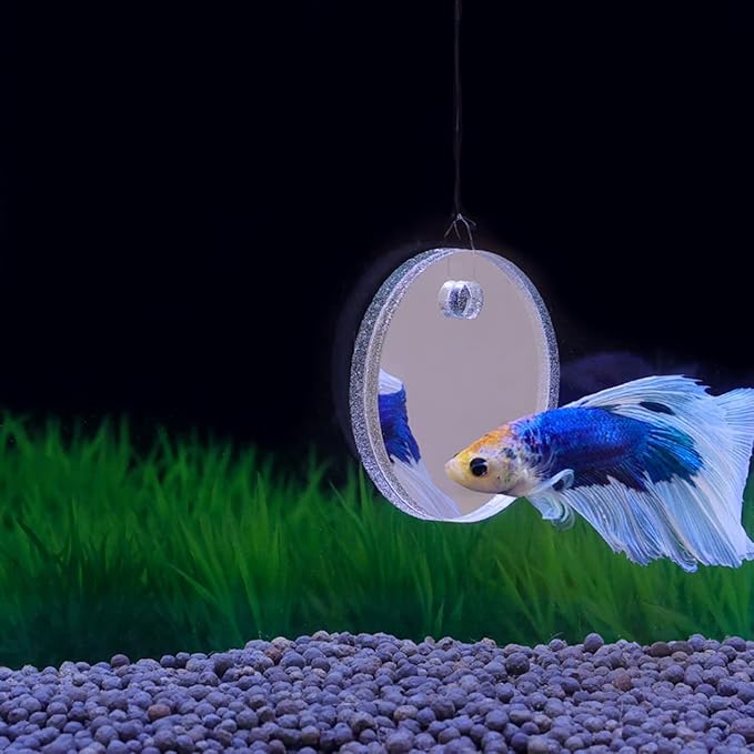 Betta Training Mirror Fish for Tank Fish Antidepressant Work Out Special for Betta Fitness Mirror Betta Toys Mirror Aquarium Decor (4cm)