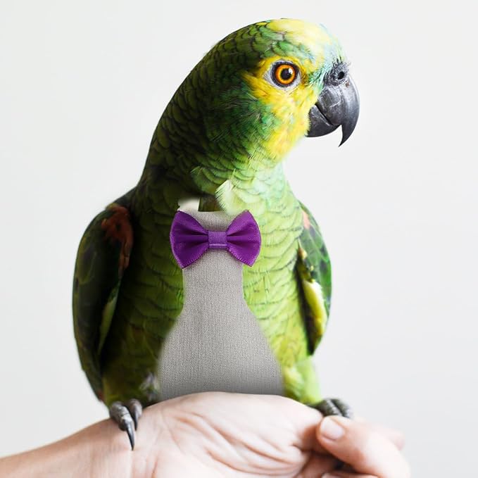 Milisten Reusable Parrot Diaper Clothes Set for African Grey Waterproof Bird Flight Suit Colorful Pattern for Outdoor Use and Bird Party Cosplay