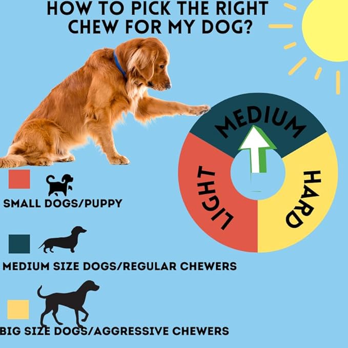 BULLYSTICKS & MORE 6 Inch Beef Cheek Springs for Dogs (20 Count) - Bully Springs Dog Chews - No Hide Bones