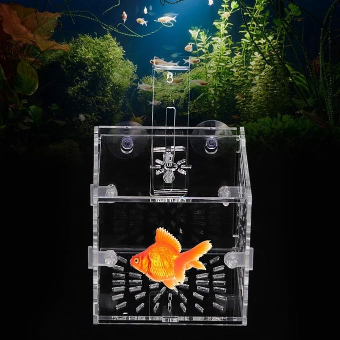 Fish Breeding Incubator, Fish Tank Hook Sucker Design Stable Fish Incubator Box for Breeding for Isolation(10CM*10CM*10CM)