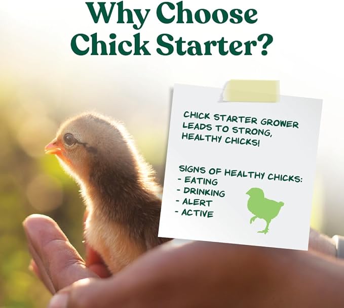 Manna Pro Medicated Chick Starter Grower Feed – High Protein Crumbles with Amprolium for Coccidiosis Prevention – Complete Chicken Feed for Baby Chicks and Pullets – for Healthy Growth – 5 lb Bag