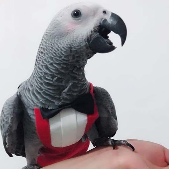 Bird Flight Suits Diapers, Parrot Flight Suits Diapers for Monk Parakeets, Cockatiels Flight Suits, Parrot Clothes, Bird Training Nappy Suit Liners Clothes (Large,Red)