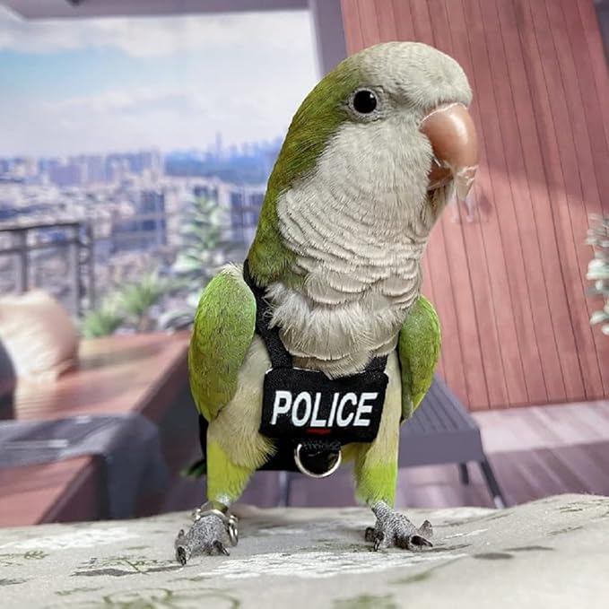 Bird Clothes Parrot Diapers Bird Flight Suits, Reusable Waterproof Diapers pet Bird Supplies (4XL)