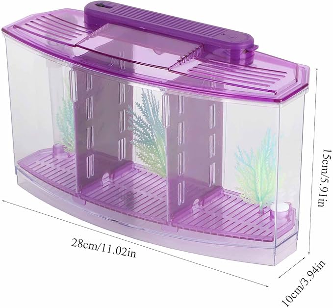Rengue Fish Breeder Box for Aquarium TripleChamber Fish Breeder Box for Aquarium, Transparent LED Acrylic Small Fishes Breeding Isolation for, Transparent LED Acrylic (Purple)