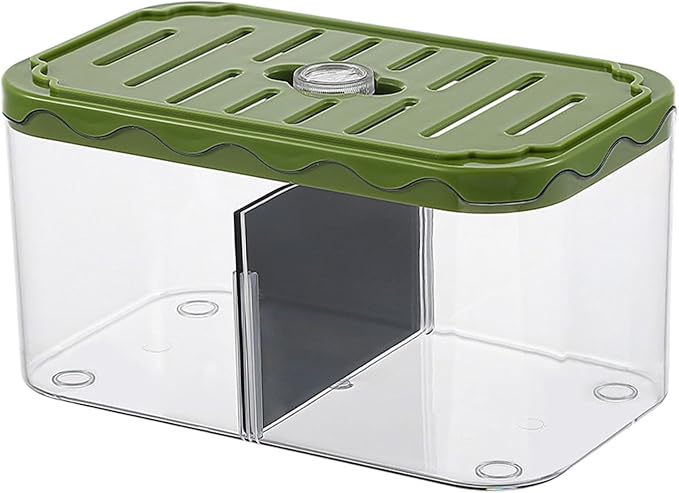 Small Fish Tank Aquarium Breeding Box Transparent Hatchery with Removable Divider for Clownfish Desktop, Green
