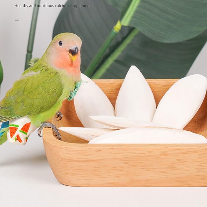 Cuttlebone for Birds Parakeets Canaries Cockatiels Small Conures Mynahs Toucans African Greys All Parrots Snails Totoise,Natural Cuttlefish Bone for Bird Cage (7"-7.5"(Pack of 6))