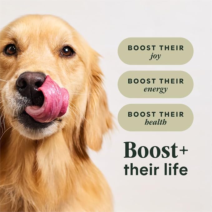 Instinct RawBoost, Natural Dry Dog Food with Freeze-Dried Pieces, High Protein, Grain-Free Recipe - Real Chicken, 20 lb. Bag