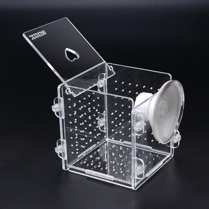 Fish for Tank Hatchery Incubator Aquarium Breeding Box Acrylic Breeder Isolation Hatching Boxes with Suction Cup on Large Net Mesh Aquarium Small Floating Large Mesh