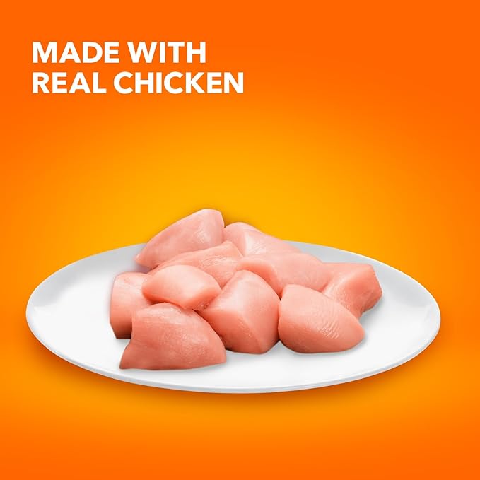 IAMS Proactive Health Senior Dry Cat Food, Cat Food Dry Chicken Recipe, Real Chicken in Every Bite, 7 lb. Bag
