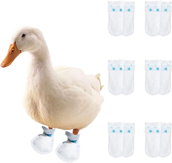 MANON ROSA Duck Shoes for Real Ducks Chickens 6-Pair Waterproof & Disposable Booties with Self-Adhesive Bandage for Waterfowl Wound Foot Care Bumblefoot (Dustproof Version,Large)