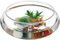 GANAZONO Clear Fish Bowl Vase Bubble Round Planter Terrarium Fish Bowl Aquatic Plant Pot Daffodil Pot Hydroponic Planter Tank Aquarium
