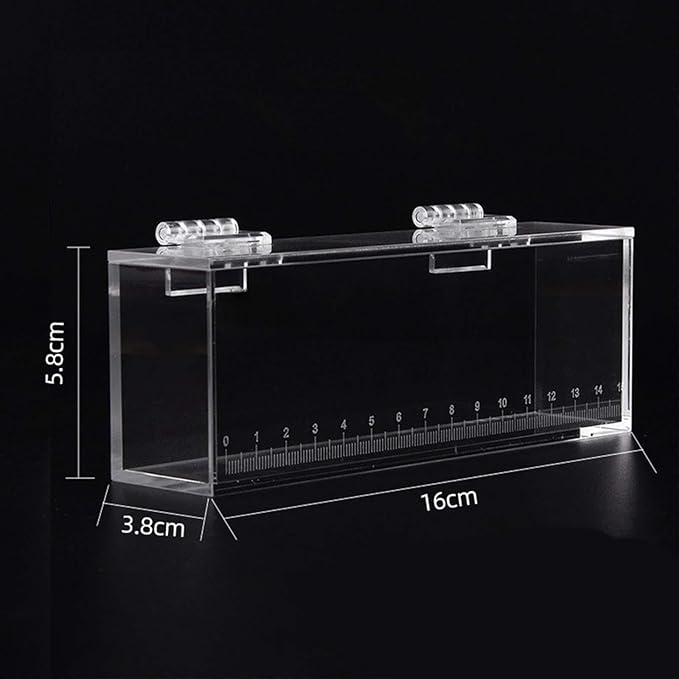 Fish Watching Case - Acrylic Hatchery Incubator & Observation Box for Small Fish Breeding Tanks, Photo Box- L