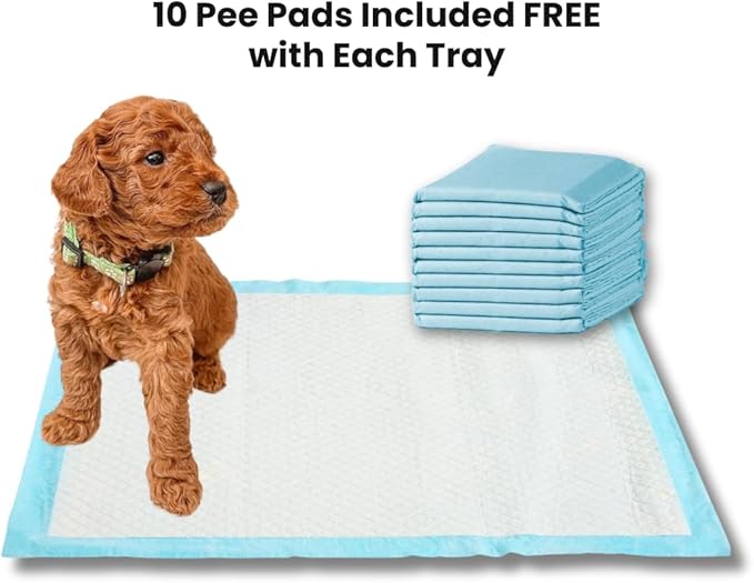 Little Wolves Puppy Potty Tray – 22x22 Shred-Proof Heavy-Duty Training Tray for Puppies & Small Dogs, Easy-Clean, Indoor Dog Pee Pad Holder (Medium Gap)