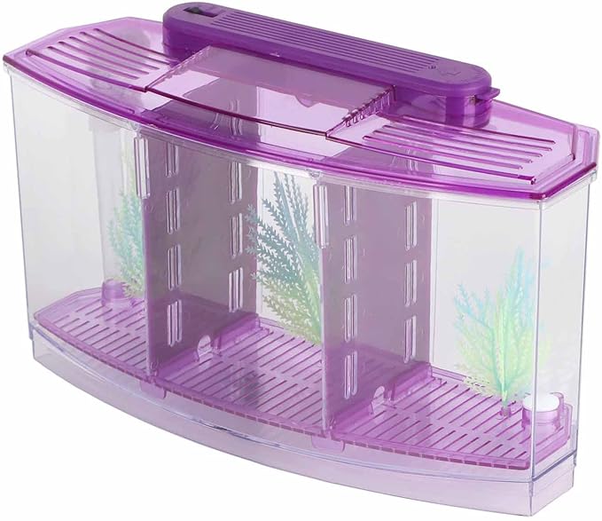 Aquarium Fish Led Light Kid Friendly Small Fish Three Divisions Breeding Isolation Mini Aquarium komplettset LED Acrylic Box Betta for Small Fishes()