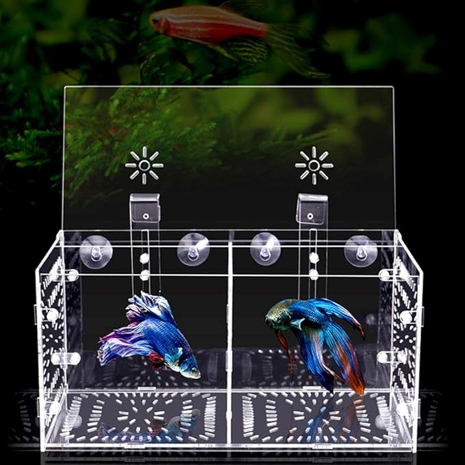 Fish Tank Breeding Box Aquarium Isolation Box Transparent Acrylic Fish Tank Incubation Box for Aggressive Injured Sick Fish Shrimp 15x15x15cm 30x15x15cm 20x20x20cm (30CM*15CM*15CM)
