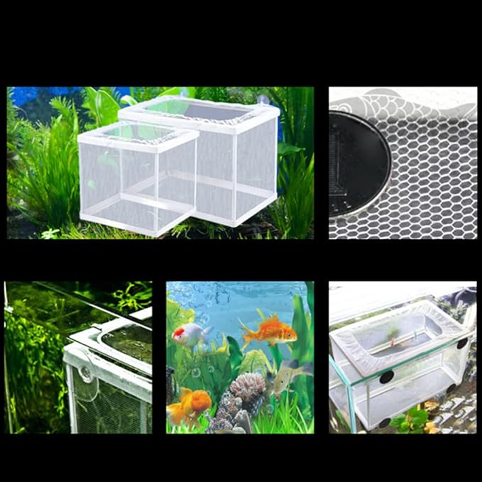 balacoo Fish Isolation Box for Aquarium with Suction Cups Large Size Fish Breeder Net Hatchery Incubator 10.23X5.9X5.9 Inch Separator for Tank Nursery