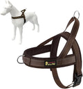 Plutus Pet No Pull Dog Harness with Breathable Mesh Padded, Adjustable Reflective Escape Proof Dog Harness, Quick Fit Dog Vest Harness for Small Medium Large Dogs(XXS, Chocolate)