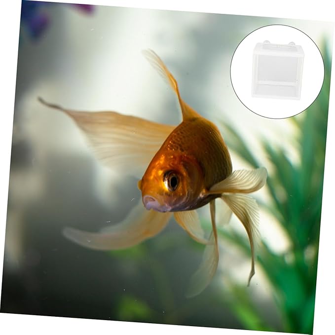 Housoutil 2pcs Fish Breeding Tank Aquarium Incubator Cups for Tropical Fish Hatching Random Efficient Isolation for Fry Survival