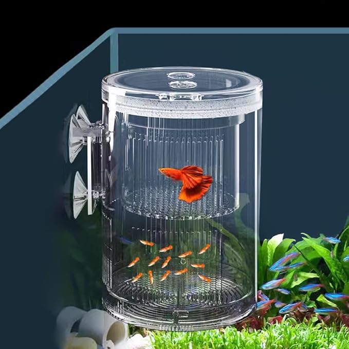 La La Pet Floating Fish Breeding Isolation Box with Suction Cups 270°Flowing Water Propagation Separate Parent and Baby Fishes Transparent Hatching Boxes Incubator for Tanks Small