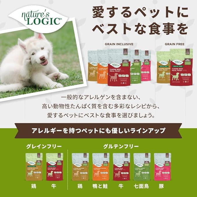 Nature's Logic Dry Dog Food - 100% Natural - No Synthetics - For All Ages, Sizes, Breeds - Free From Common Allergens, High Protein - Beef Meal Feast, 4.4lbs