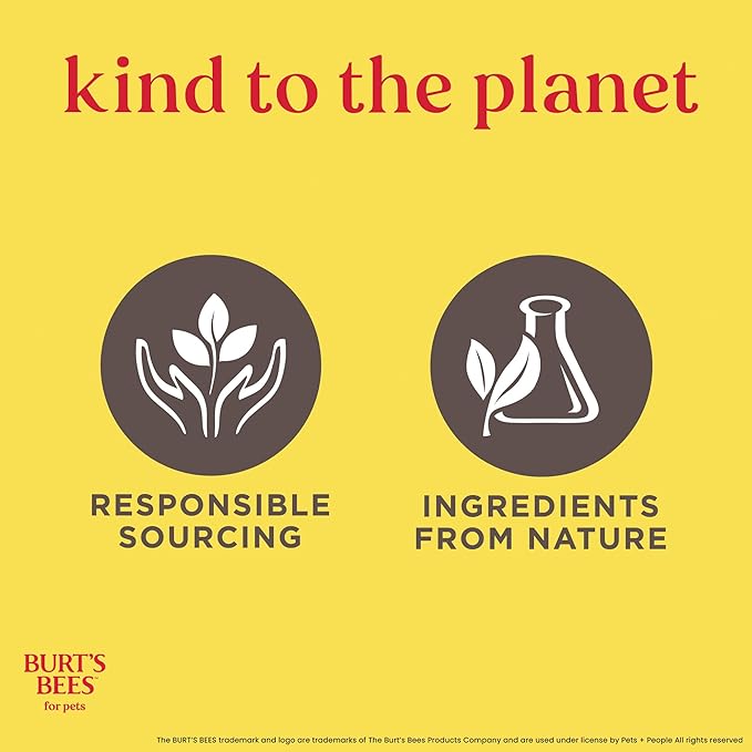 Burt's Bees for Pets Cat Dander Remover Wipes, Unscented Soft Grooming Cloths with Colloidal Oat Flour + Aloe, Helps Reduce Flaking Between Baths for Cats & Kittens, 50 Count - Pack
