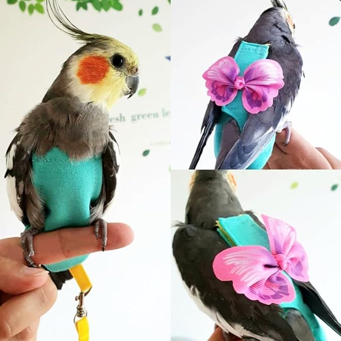 Escape-Proof Parrot Harness & Leash Set with Diaper - Adjustable Flight Suit with Bow & Safety Cord for Conures, African Grey, Parakeets, Doves (Pink-M)