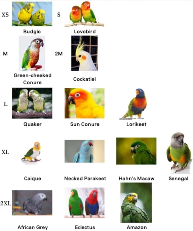 Adjustable Bird Diaper Harness Flight Suit Clothes with 80 Inch Flying Leash Rope for Parrots Conure Cockatiel (Blue,M)
