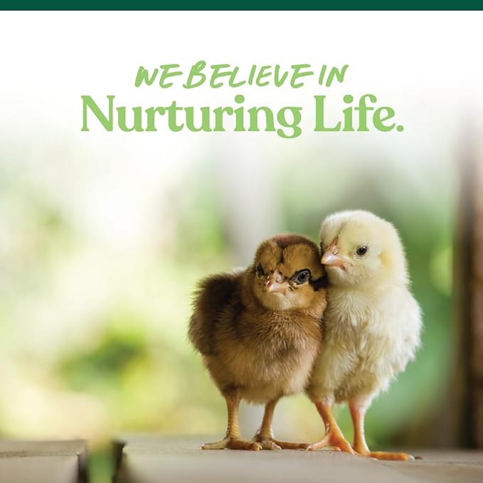 Manna Pro Medicated Chick Starter Grower Feed – High Protein Crumbles with Amprolium for Coccidiosis Prevention – Complete Chicken Feed for Baby Chicks and Pullets – for Healthy Growth – 5 lb Bag