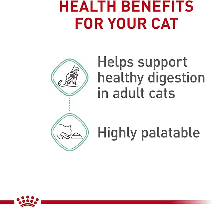 Royal Canin Feline Care Nutrition Digestive Care Adult Thin Slices in Gravy Cat Food, 3 oz (Pack of 6)