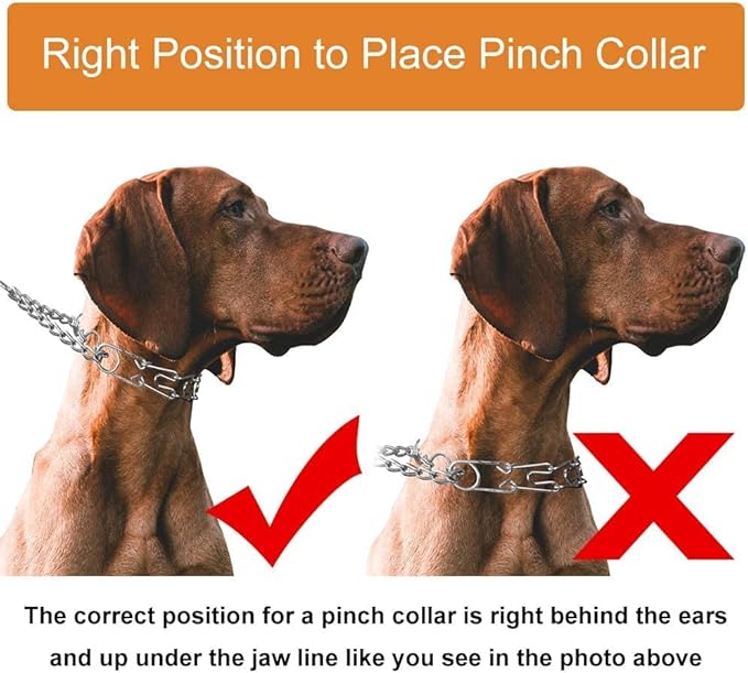 CBBPET Dog Prong Collar, Adjustable Dog Training Collar with Quick Release Buckle for Small Medium Large Dogs (Silver, M/3.0mNeck: 16"-18'' Weight:50 lbs)