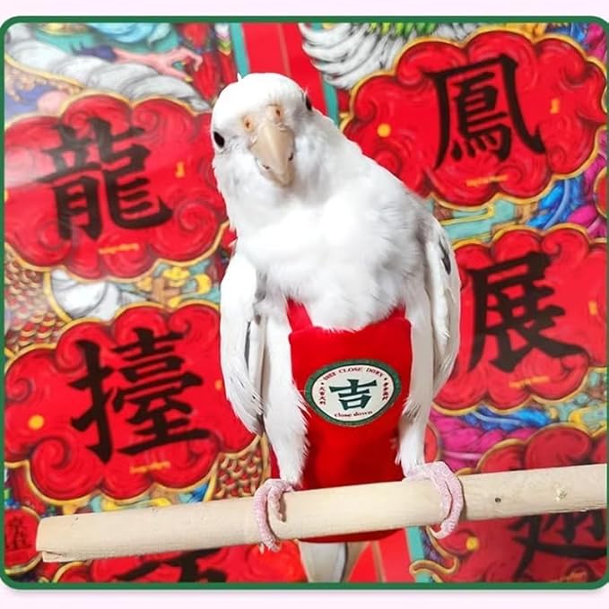 MANON ROSA Bird Diapers Leash Set Washable Reusable Handmade Flight Suit Waterproof Inner Layer - Protective Parrot Nappy Clothes Parakeets Macaws Budgies Canaries (Red4,Ring-Necked Parakeet)