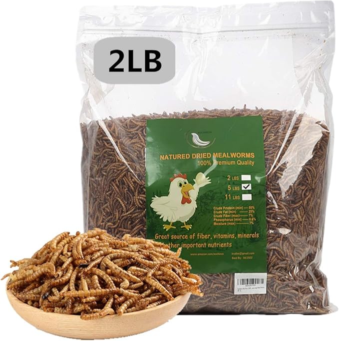 HANDPOINT 2 lbs Dried Mealworms, 100% Non-GMO Natural High-Protein,Treats for Chicken, Fish, Bird Food(2LB)