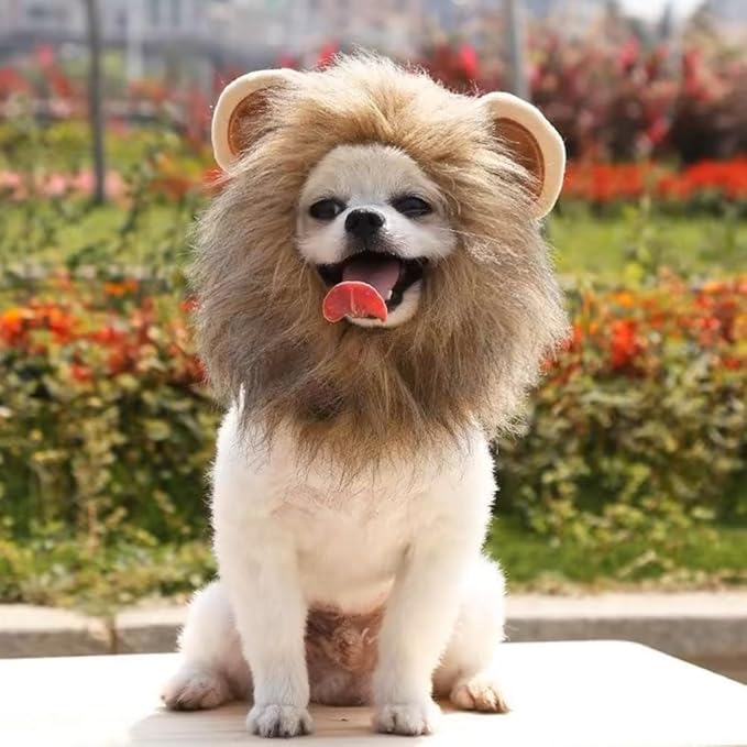 Cat Halloween Costumes - 2 Pcs Lion Mane Wig for Cat & Bunny Rabbit Hat with Ears,Funny Pet Clothes Dress for Halloween,Fits Most Cats(M Size)