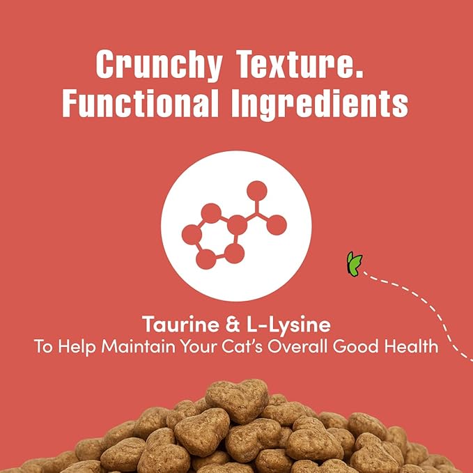 Get Naked Cat Calming Treats | Crunchy Salmon & Cheese Flavor | Feline Anxiety Relief & Stress Control | Grain-Free Cat Calming Product | Made in USA 2.5 oz