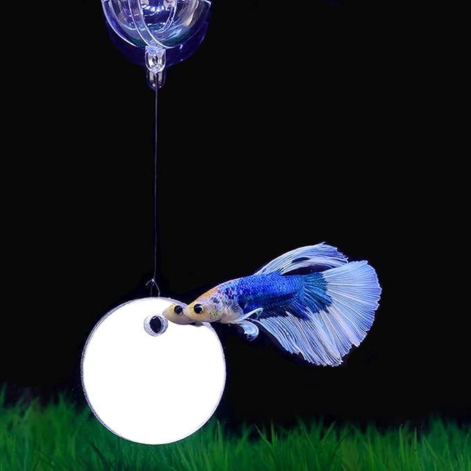 Betta Training Mirror Fish for Tank Fish Antidepressant Work Out Special for Betta Fitness Mirror Betta Toys Mirror Aquarium Decor (5cm) (6cm)