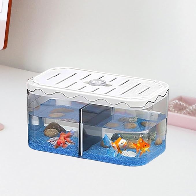 Aquarium Breeding Box Small Fish Tank Multifunction Table Centerpieces Acclimation Hatchery for Clownfish Home, White