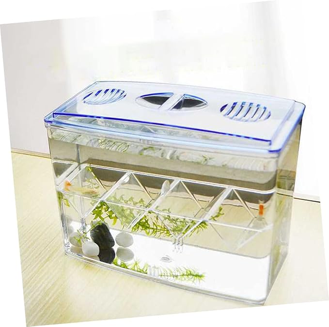 Small Fish Breeding Box Freestanding Incubator Suction Cups No Gap Isolation Tank for Fish Hatching and Reproduction