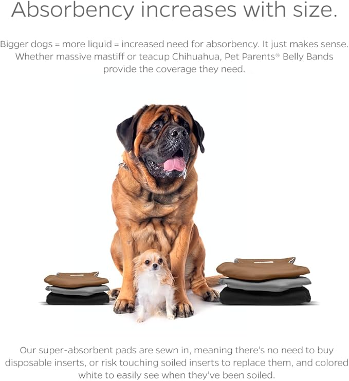 Pet Parents® Washable Belly Bands for Male Dogs (3pack) + Extendrs® of Durable Dog Diapers Male, Premium Male Dog Diapers & Dog Wraps (Small, Natural)