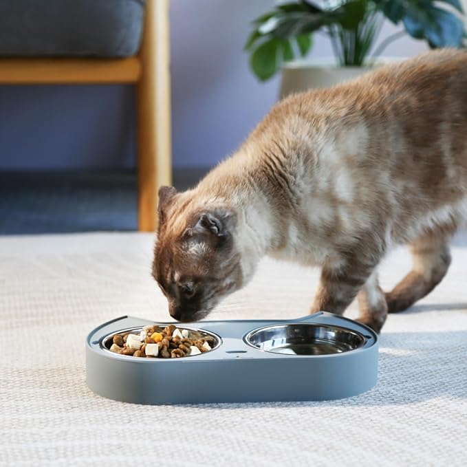 7 Ruby Road Cute Cat Bowls for Indoor Cats and Kitty, Double Cat Food Water Bowl Set with 2 Stainless Steel Pet Dishes and Grey Silicone Feeding Station, 350ml Kitten Bowls for Wet & Dry Food