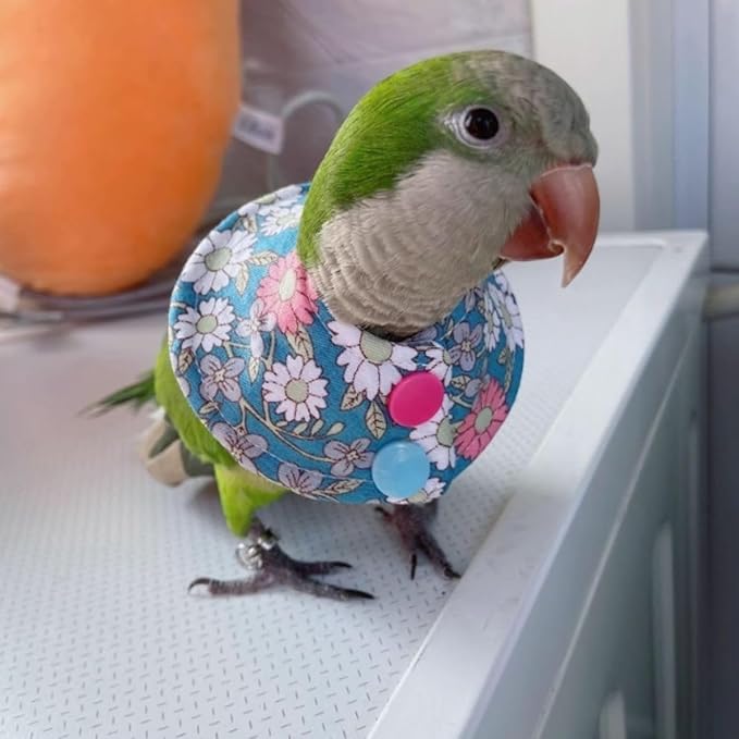 Bird Collar - Anti-Bite Elizabethan Recovery Cone Feather Plucking Protector Skin-Friendly Neckwear for Parakeets Conures Cockatiels Lovebirds Budgies Cockatoos African Grey Random Color (2XL)