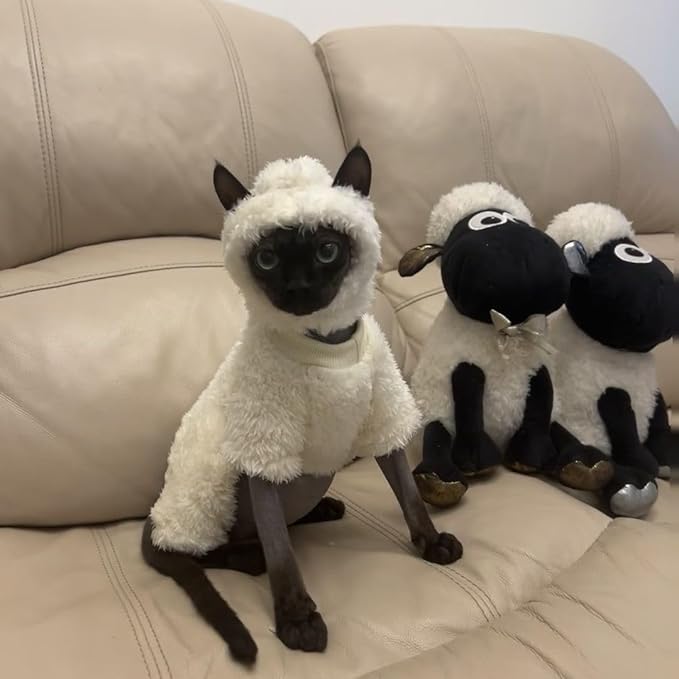 Warm Fleece Lined Winter Clothing for Sphynx & Devon Rex Cats | Soft Faux Lamb Wool | Cozy and Comfortable (Sheep Costume,XXL About 5-5.5kg/11-12.1pounds)