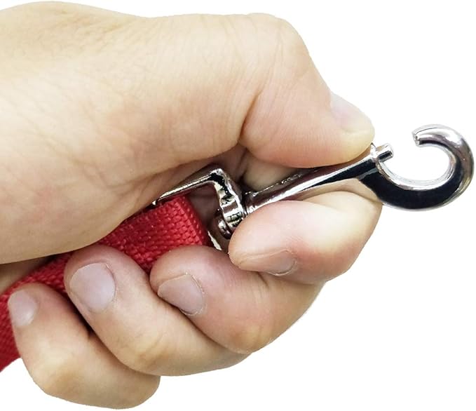 Nylon Training Dog Leash for Small Medium Large Dogs, 15ft 20ft 30ft 50ft Long Leash Dog/Puppy Lead for Obedience Recall Training, Camping (1" x 20ft, Red)