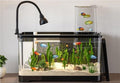 4 Gallon Fish Tank, Small Tabletop Fish Tank, Aquarium with Negative Pressure Tank, Fish Aquarium with Spotlight and Water Pump, Betta Fish Tank Starter Set(Black,19.5x8.5x13.4in)