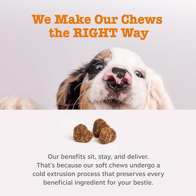 Zesty Paws Probiotics for Dogs, Digestive Enzymes Gut Flora, Digestive Health, Diarrhea & Bowel Support, DE111, Dog Probiotics Soft Chew for Pet Immune System, Chicken, 90 Ct (Pack of 2)