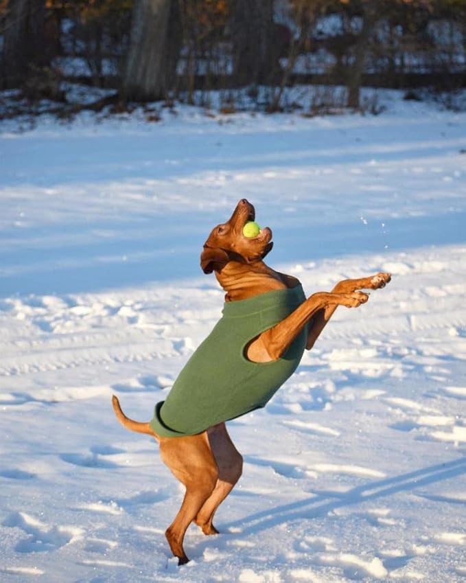 Gooby - Stretch Fleece Vest, Pullover Fleece Vest Jacket Sweater for Dogs, Black, 3X-Large