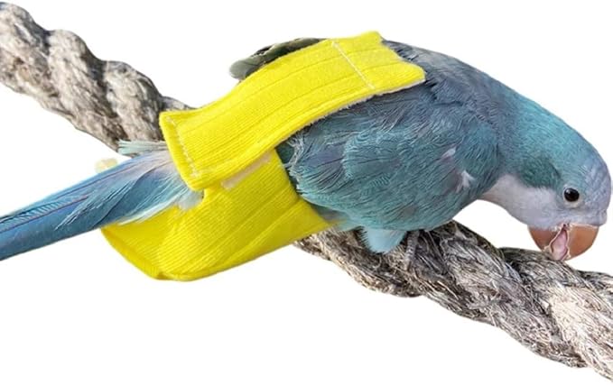 Parrot Bird Diapers, Birds Flight Suit, Parrot Clothes, Pet Animal Costumes, Bird Clothes, Cockatiel Bird Diaper, Pet Bird Diapers, Parrot Flight Suit, Bird Parrot Clothes (Yellow, M)
