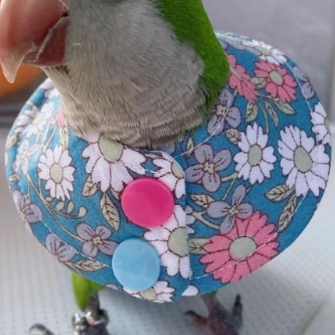Bird Collar - Anti-Bite Elizabethan Recovery Cone Feather Plucking Protector Skin-Friendly Neckwear for Parakeets Conures Cockatiels Lovebirds Budgies Cockatoos African Grey Random Color (Macaw)