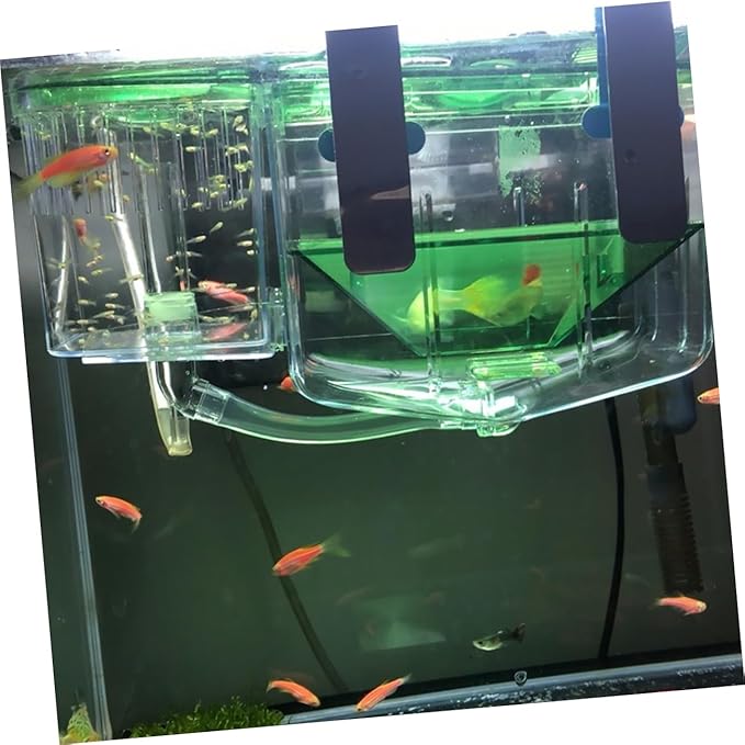 Kichvoe Self Guided Transparent Acrylic Aquarium Breeding Tank Isolation Box for Fish Hatching and Nursery Protects Small Pregnant and Newborn Fish from Aggressive Adults Seedlings Case
