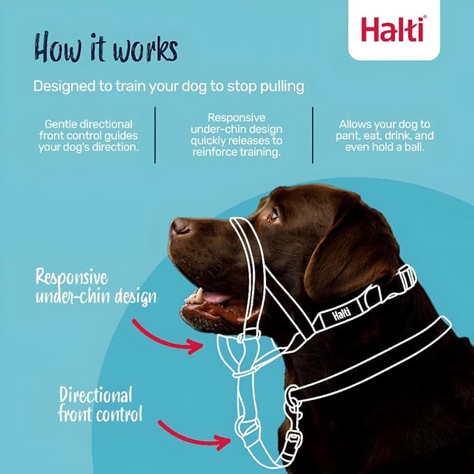 Halti Headcollar - Stop Your Dog Pulling on The Leash. Adjustable, Reflective and Lightweight, with Padded Nose Band. Dog Training Anti-Pull Collar for Medium Dogs (Size 2, Forest Green)