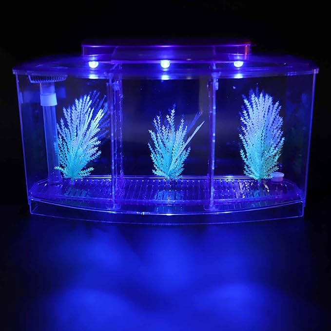 Aquarium Fish Led Light Kid Friendly Small Fish Three Divisions Breeding Isolation Mini Aquarium komplettset LED Acrylic Box Betta for Small Fishes()
